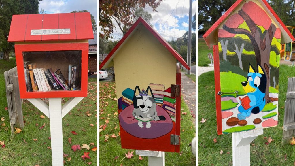 Bluey street library