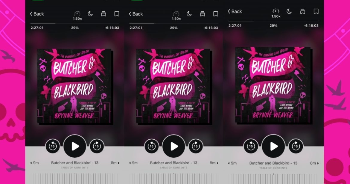 Butcher and Blackbird by Brynne Weaver