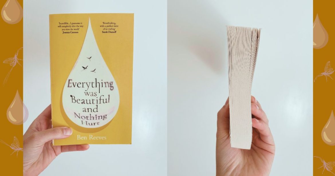 Everything is beautiful and nothing hurts by Ben Reeves