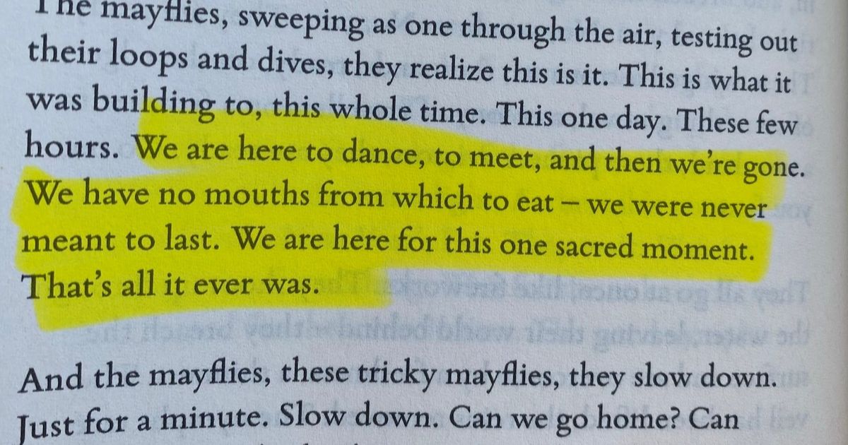 A quote from Everything was beautiful and nothing hurt
